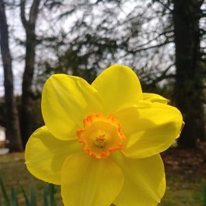 Meet your Posher, Charlene